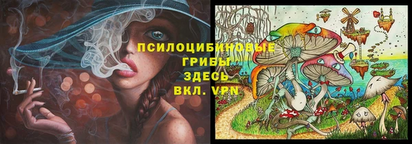 скорость Белокуриха