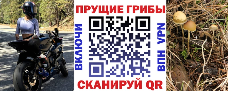 дарк нет как зайти  Гаврилов-Ям  Псилоцибиновые грибы прущие грибы 